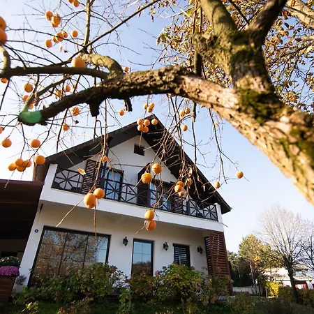 Hotell Nora Butik Ve Bursa